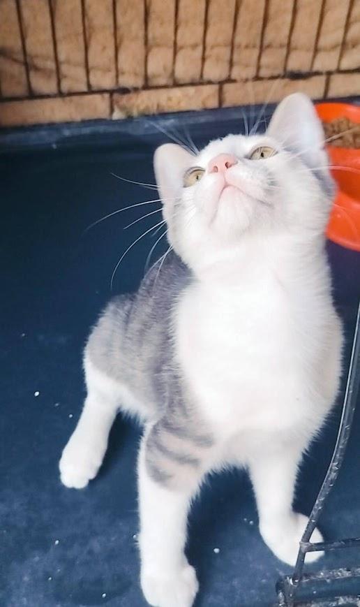 LUI Foto 6